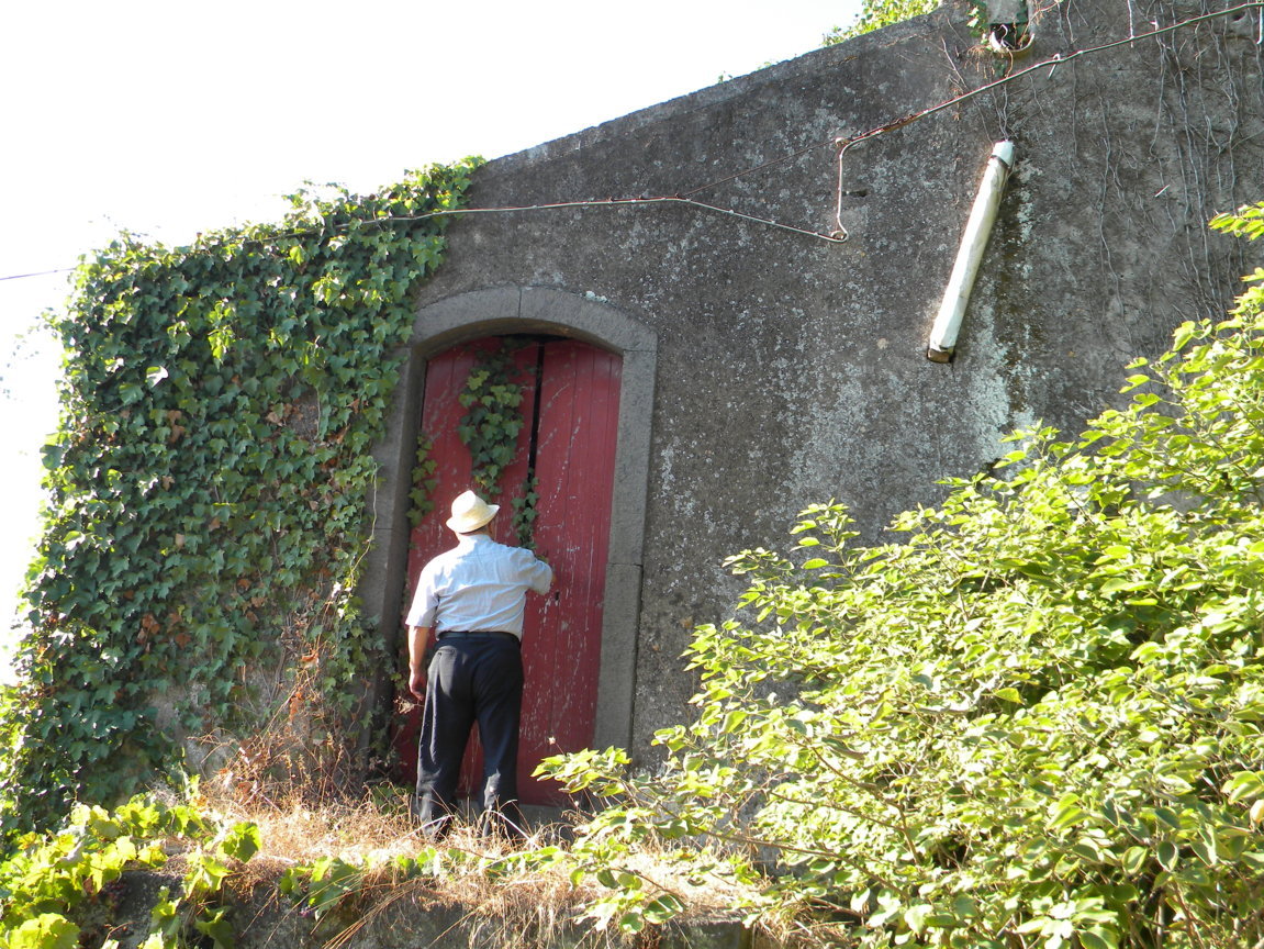 DSCN8053 .JPG
